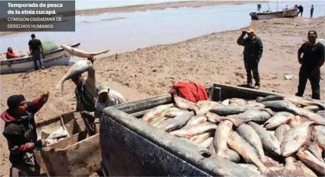  ?? COMISIÓN CIUDADANA DE ?? Temporada de pesca de la etnia cucapá.