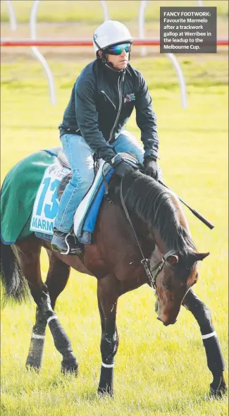  ?? FANCY FOOTWORK: Favourite Marmelo after a trackwork gallop at Werribee in the leadup to the Melbourne Cup. ??