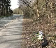  ??  ?? ■ Flowers on the A4087 at Bangor at the scene of the crash which has claimed two lives