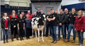  ?? ?? Team Wolfa produced the top priced heifer at 5500gns in Wolfa Crusha Rose purchased by Steven Innes
