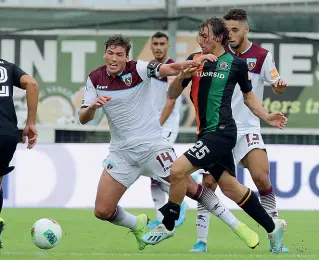  ??  ?? Venezia Lorenzo Lollo, sempre una delle pedine più duttili per mister Dionisi nella struttura di metà campo in questa stagione