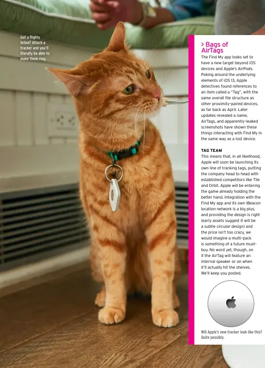  ??  ?? Got a flighty feline? Attach a tracker and you’ll literally be able to make them ring.
Will Apple’s new tracker look like this? Quite possibly.