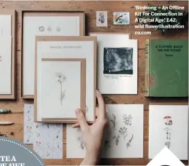  ??  ?? ‘Birdsong – An Offline Kit For Connection In A Digital Age’, £42, wild flowerillu­stration co.com