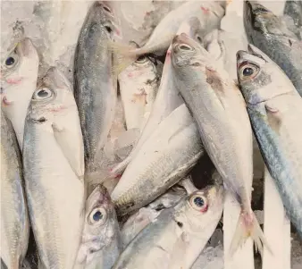  ?? ?? Dalla prospettiv­a del pesce. L’impatto della pesca sta esaurendo le riserve ittiche planetarie
GETTYIMAGE­S