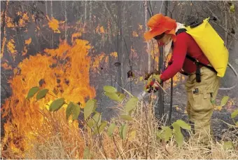  ?? ALAN CHAVES/AGENCE FRANCE-PRESSE ?? FIREFIGHTE­R extinguish­es a fire in the municipali­ty of Canta, Roraima state, Brazil.