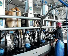  ?? PIP GUTHRIE ?? A new dairy apprentice­ship scheme has been launched to improve the calibre of people in the industry.