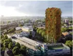  ??  ?? Campaigner­s hope to turn Grenfell Tower into a vertical memorial garden
