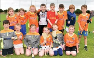  ??  ?? A group of happy Kellogg’s Cúl Camp participan­ts in Taghmon last week.