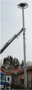  ?? Foto: Daniel Wiesheu ?? Tonnenweis­e Beton wurde in die Erde eingebrach­t, um das 12,50 Meter hohe Storchenne­st in Dießen sturmsiche­r zu verankern.