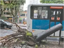  ?? PEDRO IVO ?? Na Rua São Clemante, Humaitá, ônibus bateu numa árvore: 13 feridos