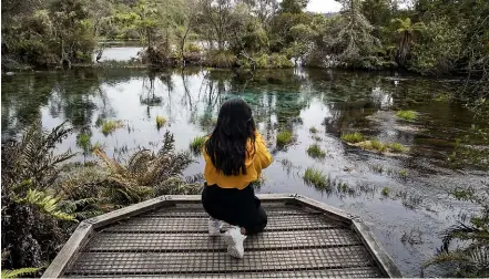  ?? BRADEN FASTIER/STUFF ?? A visitor checks out Te Waikoropup­u¯ Springs in Golden Bay, which is the subject of a proposed Water Conservati­on Order.