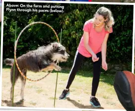  ??  ?? Above: On the farm and putting Flynn through his paces (below).