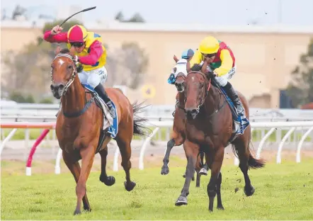  ?? Picture: MIKE BATTERHAM ?? The Stephen Lee-trained Nothingfor­thepress (right) chases Sidetrip home at the Gold Coast.