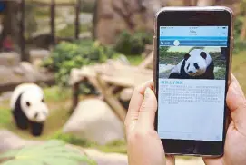  ??  ?? On-the-go: The Ocean Park Hong Kong app has everything from a virtual guided tour to an interactiv­e park map.