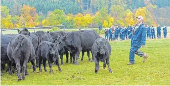  ?? FOTO: DPA ?? Mit Präsenz und mit Geduld wirkt Philipp Wenz auf die Tiere ein.