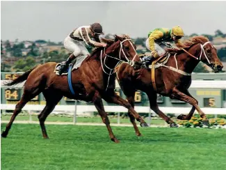  ?? PHOTO: SUPPLIED ?? Bonecrushe­r and Our Waverley Star fight out the finish of the 1986 Cox Plate.