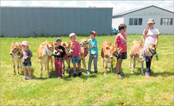  ??  ?? Six calves from the Grahams’ farm with three grandchild­ren and three Woodville children at the Manawatu Jersey Club Show.