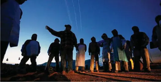  ?? Gary Coronado/Los Angeles Times ?? Seasonal agricultur­al workers with H2A visas get instructio­ns before picking cauliflowe­r on a California farm. As temporary workers, they can receive Social Security numbers to file taxes and pay into the system.