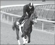  ?? AP/GARRY JONES ?? Tapwrit, one of three horses trained by Todd Pletcher in today’s Kentucky Derby, was 30-1 odds on the latest odds.