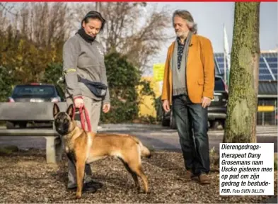  ?? Foto SVEN DILLEN ?? Dierengedr­agstherape­ut Dany Grosemans nam Uscko gisteren mee op pad om zijn gedrag te bestuderen.