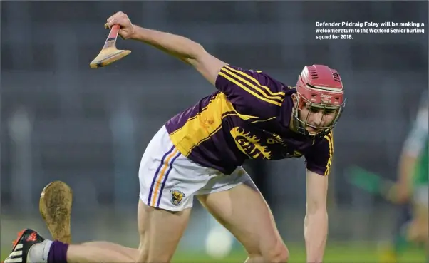  ??  ?? Defender Pádraig Foley will be making a welcome return to the Wexford Senior hurling squad for 2018.