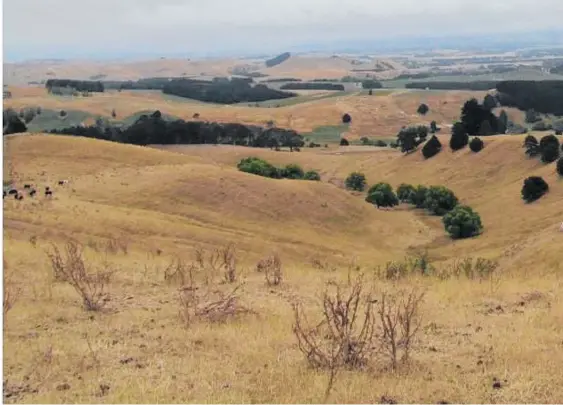  ?? Photo / File ?? The parched land in drought-affected Tararua.