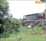  ??  ?? The lush indigenous garden is home to a variety of wildlife species, creating a country feel in this city property. Left, the garden before.
AFTER