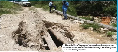 ?? ?? The activities of illegal gold panners have damaged roads at Sheba Timber Plantation in Penhalonga, rendering some of the routes impassable.