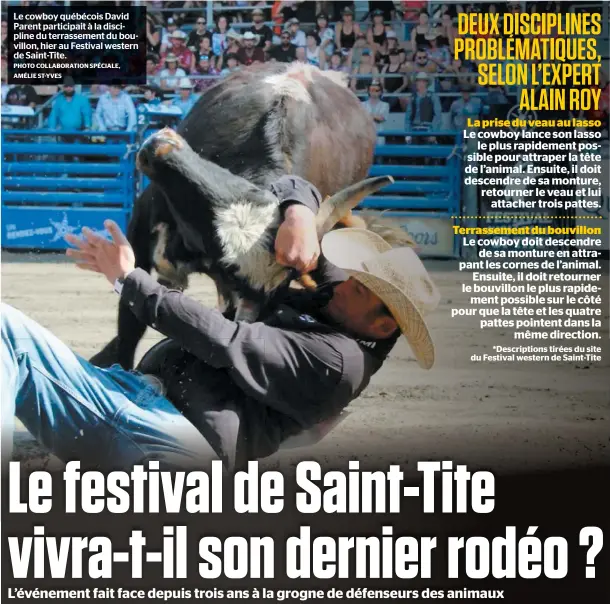  ?? PHOTO COLLABORAT­ION SPÉCIALE, AMÉLIE ST-YVES ?? Le cowboy québécois David Parent participai­t à la discipline du terrasseme­nt du bouvillon, hier au Festival western de Saint-tite.