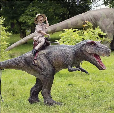  ??  ?? Roar-some: A child saddles up on one of the life-size dinosaur robots in the Botanic Gardens