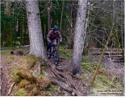  ??  ?? Going with the flow on the rootsy Drumlanrig trail