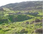  ??  ?? A view of the monastery ruins on Naoimh