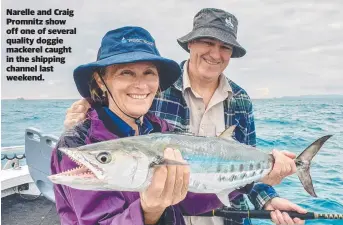  ??  ?? Narelle and Craig Promnitz show off one of several quality doggie mackerel caught in the shipping channel last weekend.