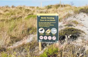  ?? Photo / Mead Norton ?? Signs are up advising people of nesting dotterels on
Pa¯ pa¯ moa Beach.
