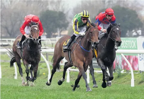  ?? Picture / Trish Dunell ?? Francalett­a (centre) contests the Breeders Stakes tomorrow.