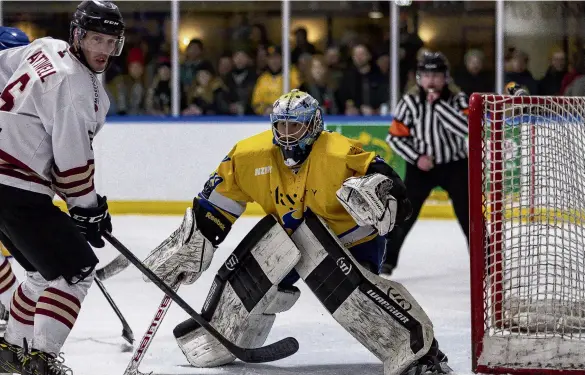  ?? PHOTO: JAMES ALLAN PHOTOGRAPH­Y ?? Minding the net . . . Stampede goaltender Aston Brookes in action earlier this season.