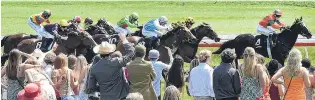  ?? PHOTO: PETER MCINTOSH ?? Go on, son . . . Spectators cheer on the action in race 4 at the Melbourne Cup Day meeting at Wingatui yesterday.