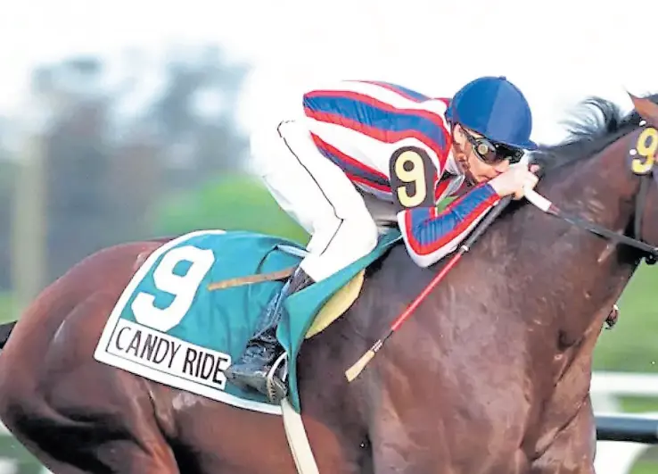 El caballo que nadie quiso es el mejor padrillo de EE.UU. - PressReader