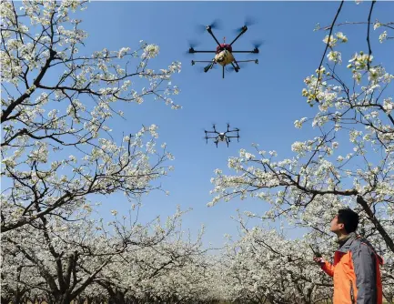  ?? (Reuters) ?? DRONES HOVERING over trees.