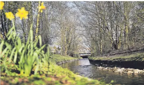  ?? FOTO: KÖHLEN ?? Die Itter fließt durch Hilden. Überwiegen­d plätschert gereinigte­s Wasser aus den Kläranlage­n Gräfrath, Ohligs und Hildens durchs Bett.