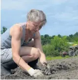  ??  ?? À Aliksir, les employés de toutes les divisions peuvent participer aux travaux au champ sur une base volontaire.