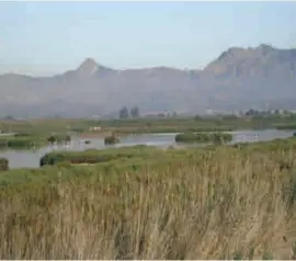  ?? Photo: D Jones ?? One of the lagoons at El Hondo