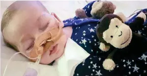  ??  ?? Fighting for life: Charlie Gard in hospital with his cuddly monkey