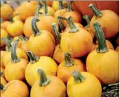  ??  ?? There were lots of colourful vegetables such as these mini pumpkins from family-owned and operated Lester Farms Inc. in St. John’s.