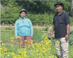  ??  ?? STORTRIVES: Hnok Vel og kona Zung Nwan fra Burma stortrives på Dømmesmoen.