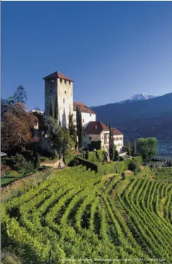  ??  ?? Le château Lebenberg-Monteleone et ses vignes. © IDM_Clemens Zahn