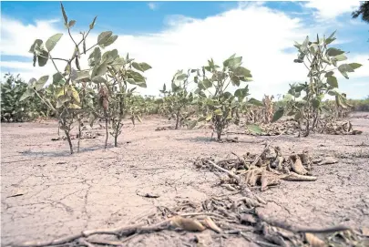  ?? Archivo ?? La sequía pegó de lleno en las exportacio­nes del sector agropecuar­io