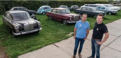  ?? FOTO MICHEL STEENSELS ?? De oldtimers lagen jarenlang stof te happen in een schuur, maar worden nu aan de hoogste bieder verkocht. “Het zijn stuk voor stuk pareltjes”, zegt Frédérique van het Limburgse GT Classic Center.