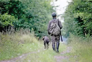  ?? FOTOS: DPA (ARCHIV)/WOI ?? Insgesamt 29 Tierarten dürfen in NRW bejagt werden. In den Fokus der Jäger rücken verstärkt Wildschwei­ne. Klassische Treibjagde­n, bei denen auf Hasen und Fasane geschossen wird, finden nur noch vereinzelt statt.