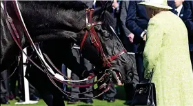  ??  ?? Earlier in the day the Queen visited Manor Farm Stables in Ditcheat, where she met champion trainer Paul Nicholls.
Six of his national hunt horses – including Frodon and Clan Des Obeaux, which is co-owned by Sir Alex Ferguson – were paraded and the Queen fed them carrots.
The trainer said: ‘It was a fantastic experience to bring Her Majesty to the yard and meet the superstar horses. I was more nervous about today then I was about the Cheltenham Festival.
‘She loved seeing the horses. She knew as much about them as we do.’ Hungry horse: Windsor sniffs at the Queen’s handbag yesterday